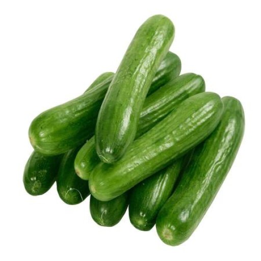  عکس خیار بوته
